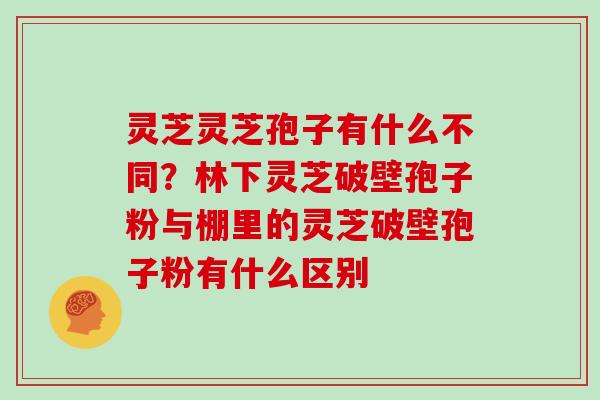 灵芝灵芝孢子有什么不同？林下灵芝破壁孢子粉与棚里的灵芝破壁孢子粉有什么区别