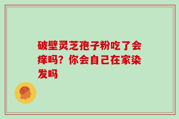 破壁灵芝孢子粉吃了会痒吗？你会自己在家染发吗