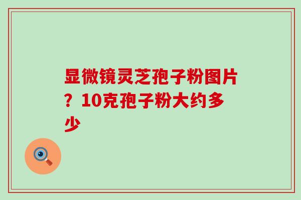 显微镜灵芝孢子粉图片？10克孢子粉大约多少