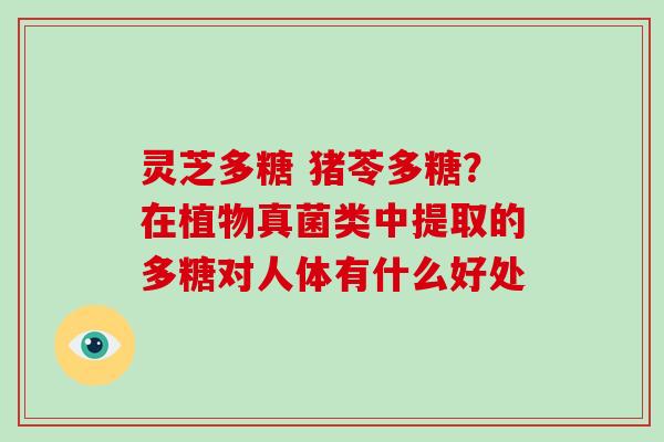 灵芝多糖 猪苓多糖？在植物真菌类中提取的多糖对人体有什么好处