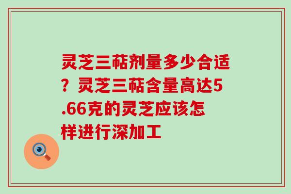 灵芝三萜剂量多少合适？灵芝三萜含量高达5.66克的灵芝应该怎样进行深加工