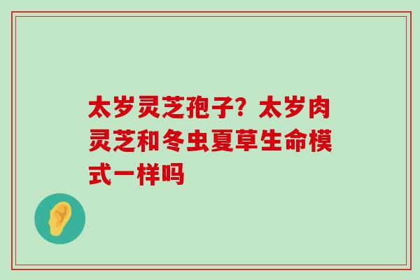 太岁灵芝孢子？太岁肉灵芝和冬虫夏草生命模式一样吗