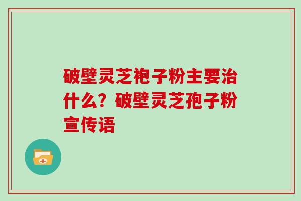 破壁灵芝袍子粉主要什么？破壁灵芝孢子粉宣传语