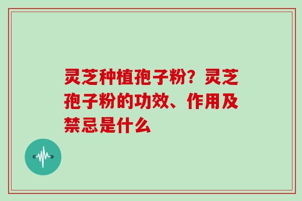 灵芝种植孢子粉？灵芝孢子粉的功效、作用及禁忌是什么