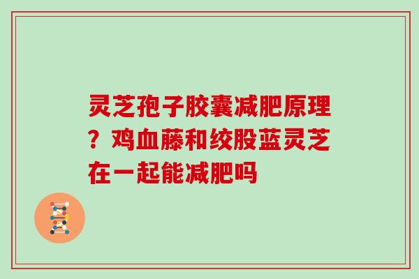 灵芝孢子胶囊原理？鸡藤和绞股蓝灵芝在一起能吗