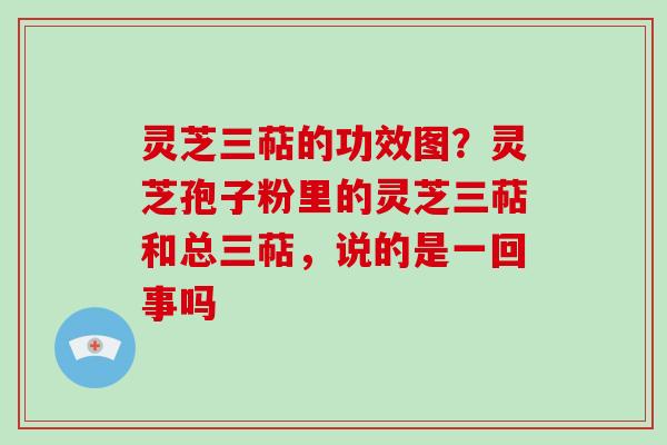 灵芝三萜的功效图？灵芝孢子粉里的灵芝三萜和总三萜，说的是一回事吗