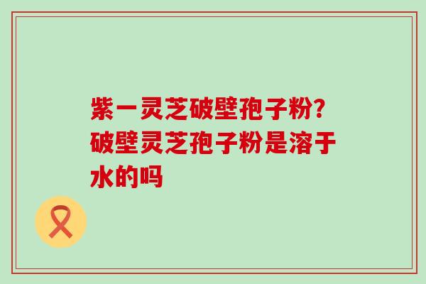 紫一灵芝破壁孢子粉？破壁灵芝孢子粉是溶于水的吗