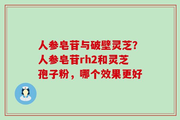 人参皂苷与破壁灵芝？人参皂苷rh2和灵芝孢子粉，哪个效果更好