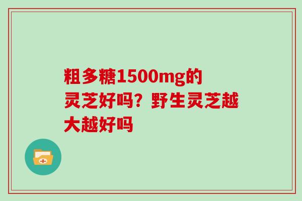 粗多糖1500mg的灵芝好吗？野生灵芝越大越好吗