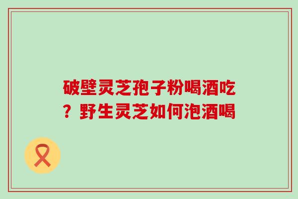 破壁灵芝孢子粉喝酒吃？野生灵芝如何泡酒喝