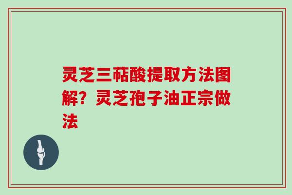 灵芝三萜酸提取方法图解？灵芝孢子油正宗做法