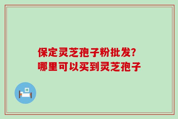 保定灵芝孢子粉批发？哪里可以买到灵芝孢子