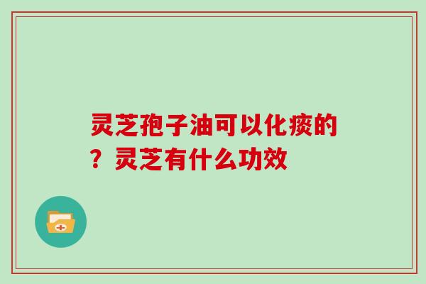 灵芝孢子油可以化痰的？灵芝有什么功效