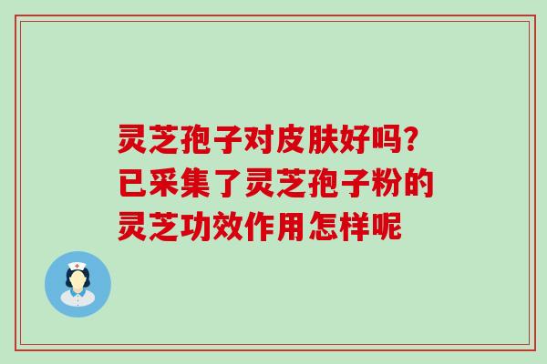 灵芝孢子对好吗？已采集了灵芝孢子粉的灵芝功效作用怎样呢