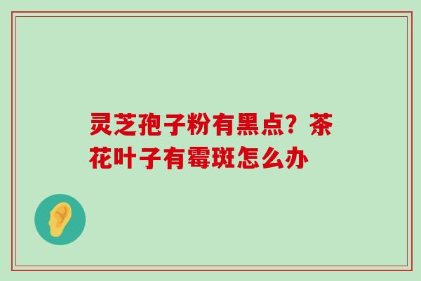 灵芝孢子粉有黑点？茶花叶子有霉斑怎么办