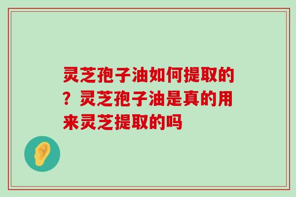 灵芝孢子油如何提取的？灵芝孢子油是真的用来灵芝提取的吗