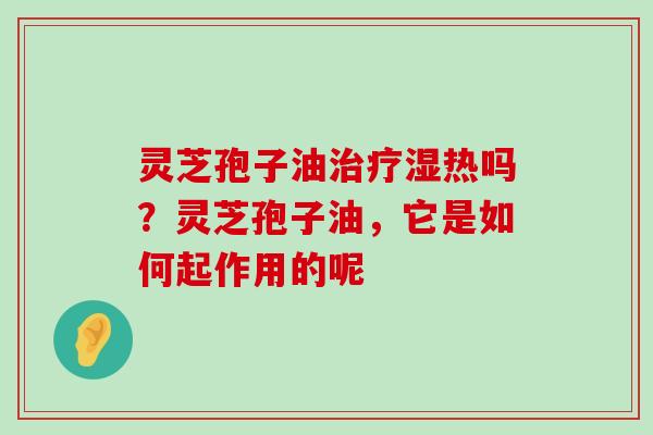 灵芝孢子油湿热吗？灵芝孢子油，它是如何起作用的呢