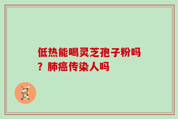 低热能喝灵芝孢子粉吗？传染人吗