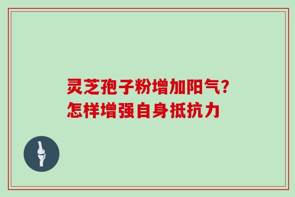 灵芝孢子粉增加阳气？怎样增强自身抵抗力