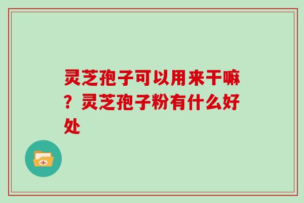 灵芝孢子可以用来干嘛？灵芝孢子粉有什么好处