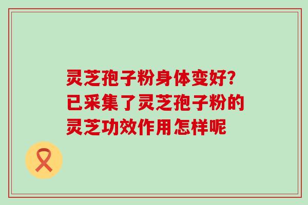 灵芝孢子粉身体变好？已采集了灵芝孢子粉的灵芝功效作用怎样呢