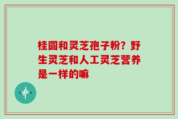 桂圆和灵芝孢子粉？野生灵芝和人工灵芝营养是一样的嘛