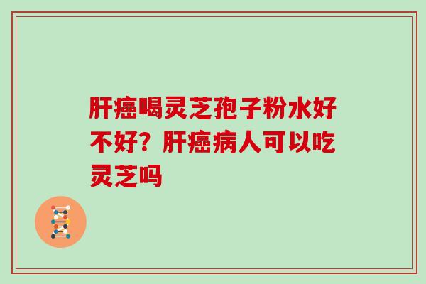 喝灵芝孢子粉水好不好？人可以吃灵芝吗