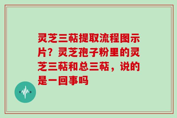 灵芝三萜提取流程图示片？灵芝孢子粉里的灵芝三萜和总三萜，说的是一回事吗