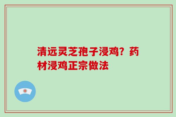 清远灵芝孢子浸鸡？药材浸鸡正宗做法