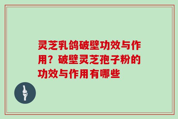 灵芝乳鸽破壁功效与作用？破壁灵芝孢子粉的功效与作用有哪些