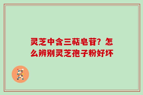 灵芝中含三萜皂苷？怎么辨别灵芝孢子粉好坏