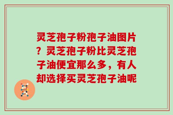 灵芝孢子粉孢子油图片？灵芝孢子粉比灵芝孢子油便宜那么多，有人却选择买灵芝孢子油呢