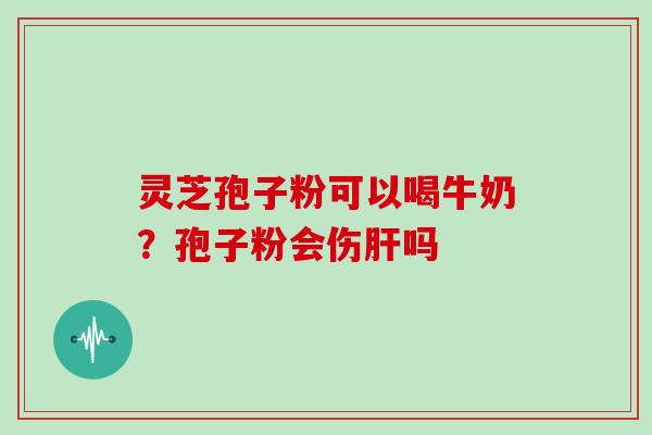 灵芝孢子粉可以喝牛奶？孢子粉会伤吗