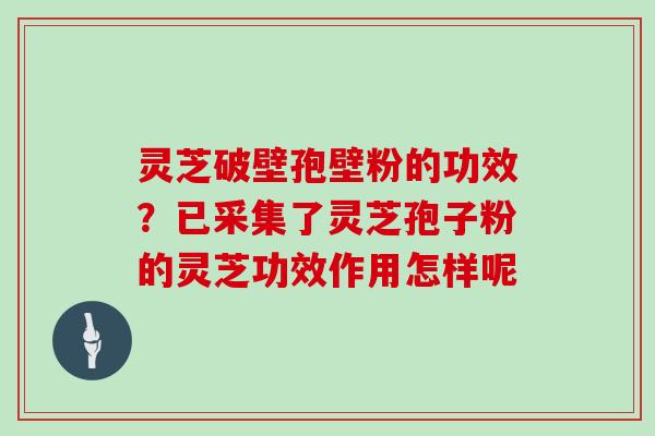 灵芝破壁孢壁粉的功效？已采集了灵芝孢子粉的灵芝功效作用怎样呢