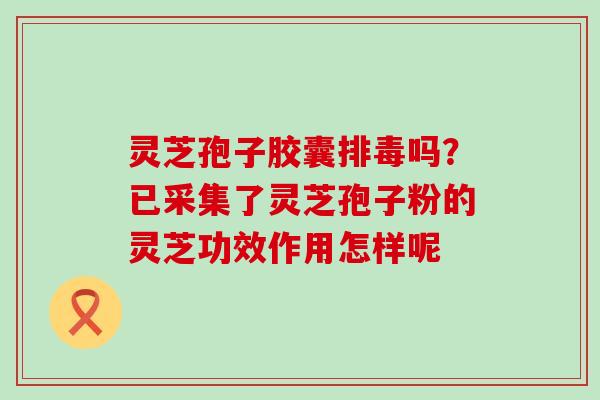 灵芝孢子胶囊吗？已采集了灵芝孢子粉的灵芝功效作用怎样呢