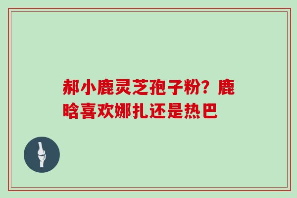 郝小鹿灵芝孢子粉？鹿晗喜欢娜扎还是热巴