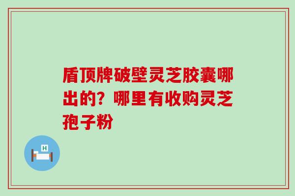 盾顶牌破壁灵芝胶囊哪出的？哪里有收购灵芝孢子粉