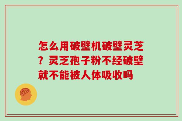 怎么用破壁机破壁灵芝？灵芝孢子粉不经破壁就不能被人体吸收吗