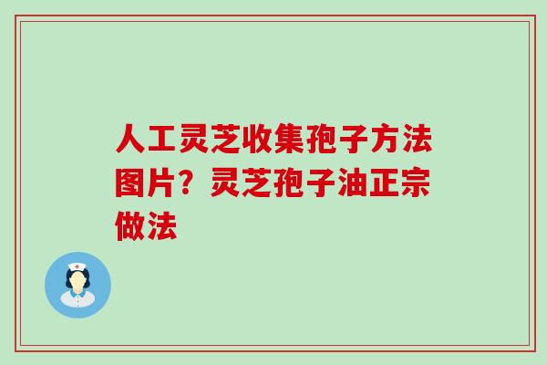 人工灵芝收集孢子方法图片？灵芝孢子油正宗做法