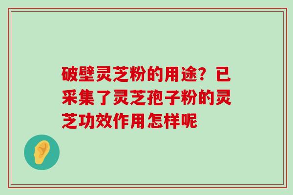 破壁灵芝粉的用途？已采集了灵芝孢子粉的灵芝功效作用怎样呢