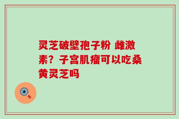 灵芝破壁孢子粉 雌激素？子宫可以吃桑黄灵芝吗