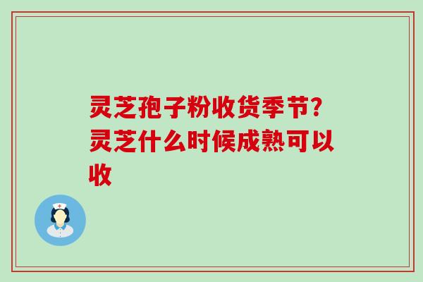 灵芝孢子粉收货季节？灵芝什么时候成熟可以收