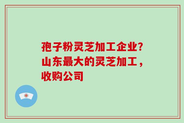 孢子粉灵芝加工企业？山东大的灵芝加工，收购公司