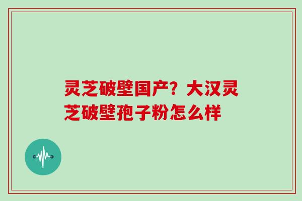 灵芝破壁国产？大汉灵芝破壁孢子粉怎么样