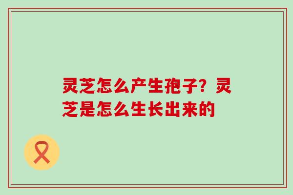 灵芝怎么产生孢子？灵芝是怎么生长出来的