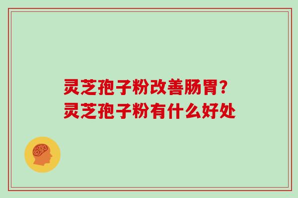 灵芝孢子粉改善肠胃？灵芝孢子粉有什么好处