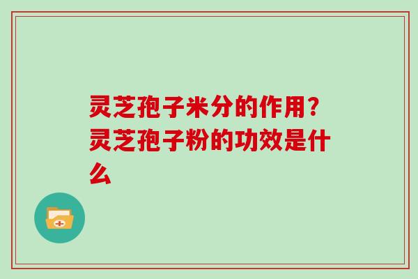 灵芝孢子米分的作用？灵芝孢子粉的功效是什么