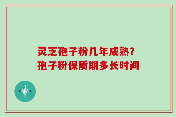 灵芝孢子粉几年成熟？孢子粉保质期多长时间