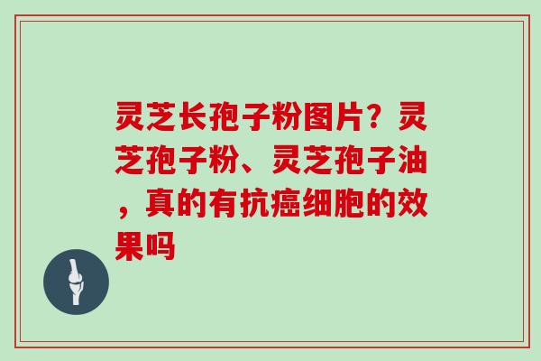 灵芝长孢子粉图片？灵芝孢子粉、灵芝孢子油，真的有抗细胞的效果吗