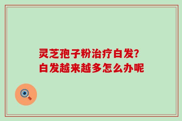 灵芝孢子粉白发？白发越来越多怎么办呢